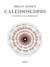 Caleidoscopio - Facetas & flashbacks
