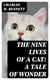 The Nine Lives of A Cat: A Tale of Wonder