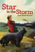 Star in the Storm