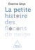La petite histoire des flocons de neige