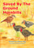 Saved By The  Ground Hornbills - African Bushveld Tales, #3