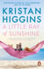 A Little Ray of Sunshine - A beautiful and romantic novel guaranteed to make you laugh and cry, from the bestselling author of TikTok sensation Pack up the Moon