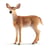 Figurine  Biche de Virginie - Schleich