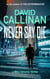 Never Say Die - Mike Delaney thriller series