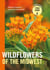 Wildflowers of the Midwest