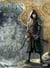 Elfes T17 - Le Sang noir des Sylvains