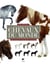 Tous les chevaux du monde. Près de 570 races et types décrits et illustrés - Près de 570 races et types décrits et illustrés
