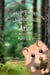 An Amazing Afternoon Adventure with Arlo the Awesome Little Vole Parts 1 & 2 - Arlo's Adventures