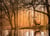 Puzzle 500 pièces - Peace Puzzle - Rustling Silence