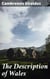 The Description of Wales - Exploring Medieval Wales: A Detailed Account by a Prominent Clergyman