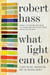 What Light Can Do - Essays on Art, Imagination, and the Natural World