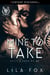 Mine to Take - Devil's Sons MC, #3