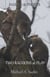 Haikus and Photos: Two Racoons at Play - Nature Haikus & Photos, #3