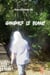 Gandalf le Blanc - Essai