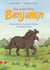 Das kleine Pony Benjamin - Geschichten mit großem Herzen und kleinen Hufen