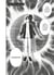 Eclipse Humaine - Chapitre 31 - L'observateur