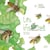 Les Insectes, 21 petites histoires naturelles