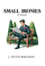 Small Ironies: A Novel