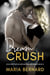 Dream Crush - Stick Shift Lips Rockstar Romance, #5