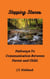 Stepping Stones  Pathways To Communication Between Parent and Child.