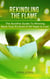 Rekindling The Flame: The Surefire Guide To Winning Back Your Ex  Even If All Hope Is Lost