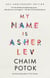 My Name Is Asher Lev