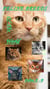 Feline Breeds Of The World A - B - Feline Breeds Of The World, #1