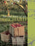 For the Love of an Orchard