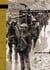 Riding into War - The Memoir of a Horse Transport Driver, 1916-1919
