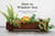 How to Window Box - Small-Space Plants to Grow Indoors or Out