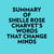 Summary of Shelle Rose Charvet's Words That Change Minds