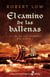 El camino de las ballenas - La ira de los hombres del norte I