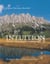 Intuition - Theorie und praktische Anwendung