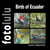 Birds of Ecuador - fotolulu`s Bildband XIX