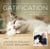 Gatification - Cómo diseñar la mejor casa para tu gato y para ti