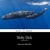 Moby Dick - Spanish Edition