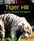 Tiger Hill - Are you afraid of the tigers?