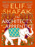 Architect's apprentice, the