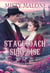 Stagecoach Surprise - Elm Springs Heroes, #1
