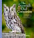 The Screech Owl Companion - Everything You Need to Know about These Beneficial Raptors