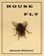 House Fly