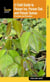 Field Guide to Poison Ivy, Poison Oak, and Poison Sumac - Prevention And Remedies