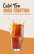 Cold Tea Soda Crafting: Fizzy, Flavored Iced Tea Recipes for Beginners