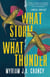 What Storm, What Thunder - A Novel