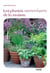 Les plantes aromatiques de la maison