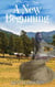 A New Beginning - mail order brides western historical romance