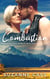 Combustion: Prequel Novella - Stargazer Ranch Mystery Romance, #0