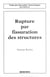 Rupture par fissuration des structures
