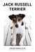 Jack Russell Terrier
