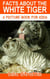 Facts About the White Tiger - A Picture Book for Kids, #251